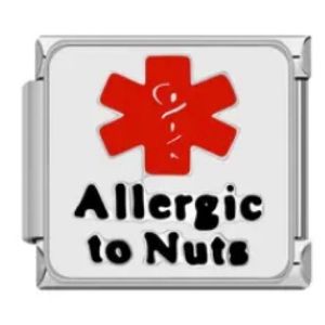 Allergic to nuts more medic alert Italian charm link